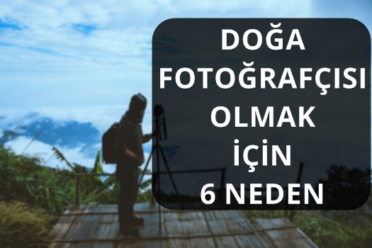 DOĞA FOTOĞRAFÇISI OLMAK İÇİN 6 NEDEN