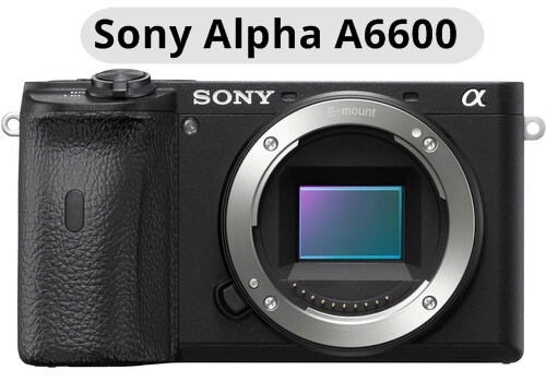 Sony Alpha A6600 Aynasız Fotoğraf Makinesi Duyuruldu