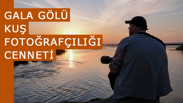 GALA GÖLÜ KUŞ FOTOĞRAFÇILIĞI CENNETİ – Vahşi Yaşam Fotoğrafçılığı