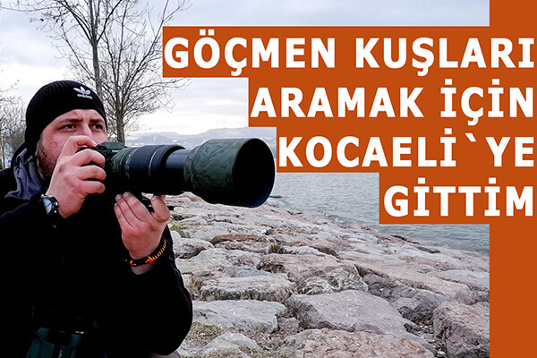 Göçmen Kuşları Aramak İçin Kocaeli`ye Gittim