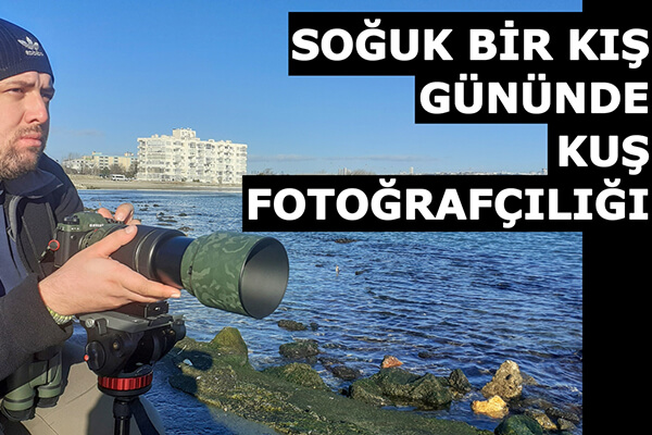 Soğuk Bir Kış Gününde Kuş Fotoğrafçılığı